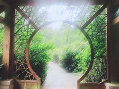 -铁山坪森林公园