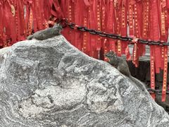 -红螺寺