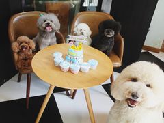 -Oh My Dog宠物沙龙(伊珊娜皮毛护理店)