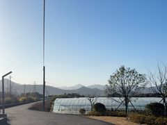 -尚田草莓姑娘白草莓采摘基地