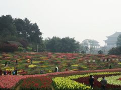 -保利石象湖景区