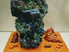 -甘肃地质博物馆