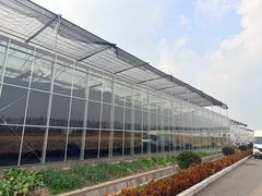 -龙大花卉苗木市场