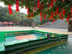 -三水森林公园