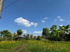 -菊园百果园