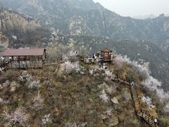 -大岭沟猕猴桃谷风景区