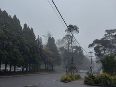 -悉尼蓝山三姐妹峰