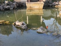 -巡塘古镇
