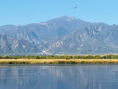 -野鸭湖国家湿地公园