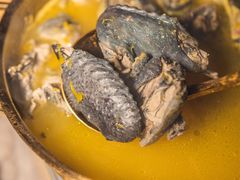 -Darling Queen·Mini·Live·House