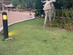 -清迈夜间动物园