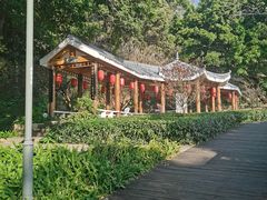 -金鸡山公园