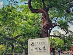 -北陵公园