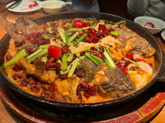 -老板恋上鱼(恒隆广场店)