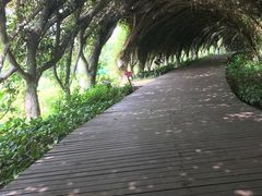 -广西壮族自治区药用植物园