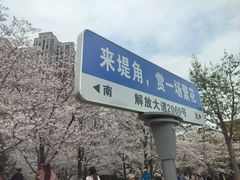 -堤角公园