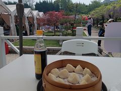 -嘉定紫藤园