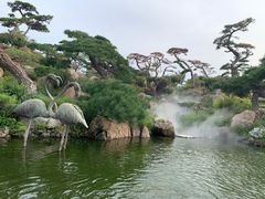 -罗红摄影艺术馆