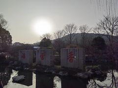 -香雪海