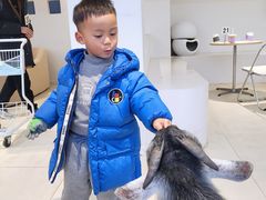 -怪兽屋·羊驼·猫咖·狗咖(俊华广场店)