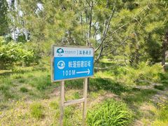 -东郊湿地公园