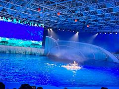 -海合安青岛极地海洋公园