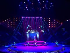 -珠海横琴长隆《卡卡虎奇遇记》