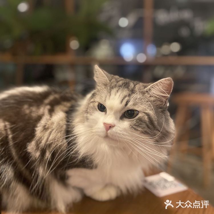 在山舍的日子，时间可以很长也可以很短