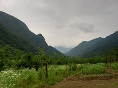 -黑河国家森林公园