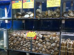 -蚝专家(北滘店)