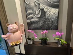 -甲舍if日式美甲美睫