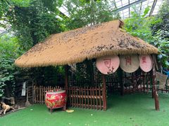 -呀路古热带植物园-恐龙馆