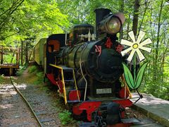 -五营红松林海景区