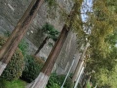 -南京城墙景区