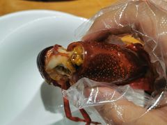 -0574龙虾的故事(东裕店)