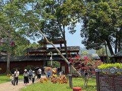 -广西龙虎山风景区