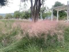 -牛岗山公园