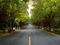 -上海长兴岛郊野公园