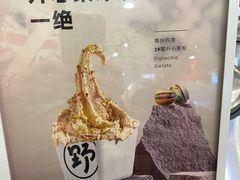 -野人先生Gelato(上海长宁龙之梦店)