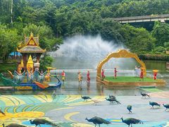 -西双版纳原始森林公园