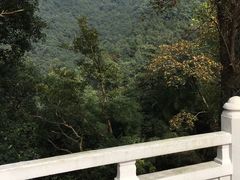 -杭州林泉山庄