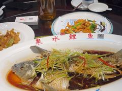 -燕喜堂·中华老字号(大明湖店)