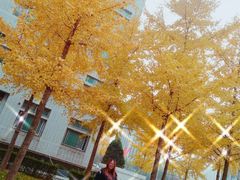 -北京联合大学(北四环校区)
