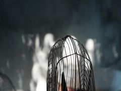 -胜达影像·佳能哈苏索尼