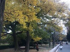 -八大关景区