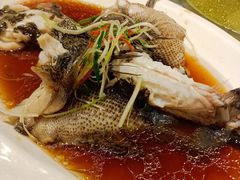 -苔圣园酒家(尊木汇国际艺术广场店)