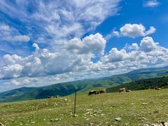 -克什克腾世界地质公园青山景区