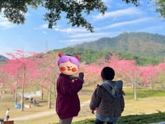 -风云岭森林公园