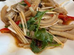 -鸿毛饺子(紫竹桥店)