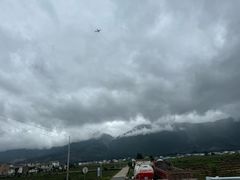-青岛胶东国际机场